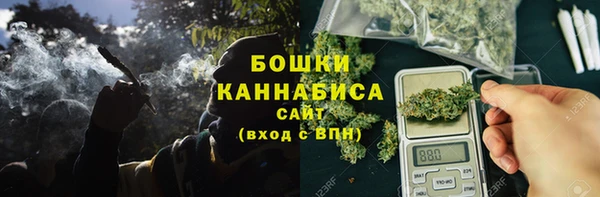 ECSTASY Дмитриев