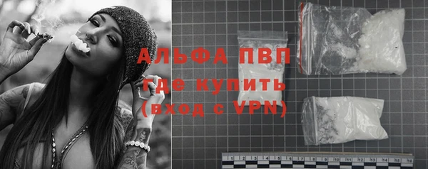 твердый Гусев