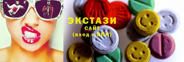 твердый Гусев