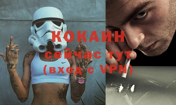 твердый Гусев