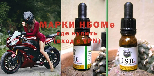 твердый Гусев
