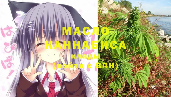 ECSTASY Дмитриев